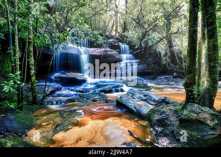 Le cascate Somersby che scorrono sulle rocce nella foresta nella costa centrale del New South Wales Foto Stock