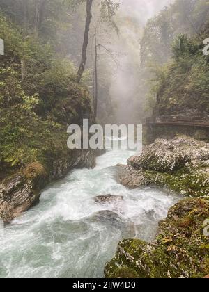 Una splendida vista panoramica del fiume che scorre nella foresta durante il giorno a Soteska Vintgar, Slovenia Foto Stock