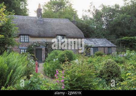 Inghilterra, Dorset, Dorchester, Hardy's Cottage, Higher Bockhampton Village, Luogo di nascita dell'autore inglese Thomas Hardy Foto Stock