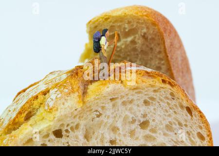 escursionista con bastone e zaino si alza su un pane fresco, sfondo bianco Foto Stock
