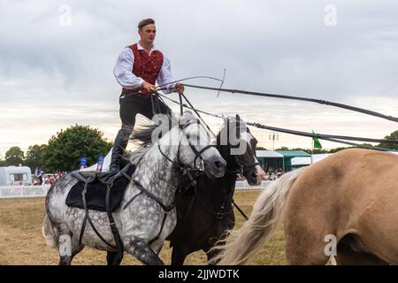 Atkinson Action Horses al New Forest and Hampshire County Show nel luglio 2022, Inghilterra, Regno Unito. Ben Atkinson in sella a una squadra di cavalli Foto Stock