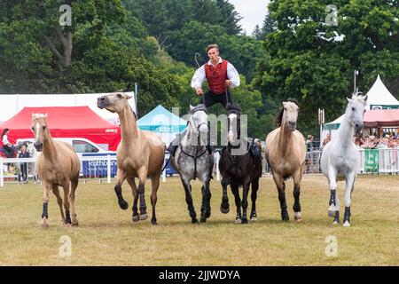 New Forest e Hampshire County Show nel luglio 2022, Inghilterra, Regno Unito. Ben Atkinson di Atkinson Action Horses roman equitazione con una squadra di cavalli Foto Stock