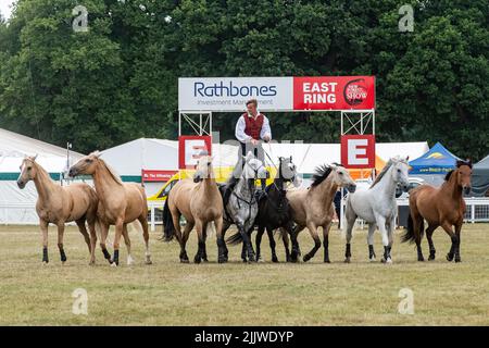 Atkinson Action Horses al New Forest and Hampshire County Show nel luglio 2022, Inghilterra, Regno Unito. Ben Atkinson in sella a una squadra di cavalli Foto Stock
