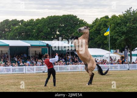 Atkinson Action Horses si esibisce al New Forest and Hampshire County Show nel luglio 2022, Inghilterra, Regno Unito Foto Stock