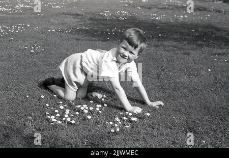 1960s, storico, primaverile ed esterno su un campo, un ragazzo giovane, inginocchiandosi sulle mani e le ginocchia su un campo di erba, raccogliendo i petali margherita dai fiori, Inghilterra, Regno Unito. Un fiore di nascita di aprile, le margherite si dice simboleggiano l'innocenza e la speranza. In Gran Bretagna, il fiore è noto come la margherita comune o laio. Foto Stock