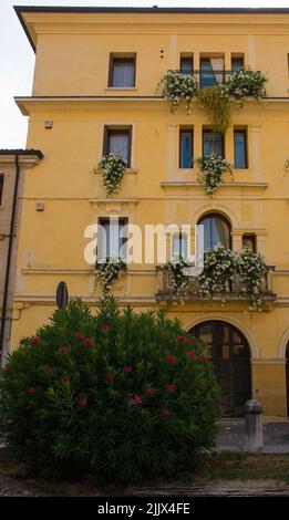 Una vecchia casa con fiori di rocktromba bianchi sui suoi balconi e un profondo oleandro rosa di fronte al centro storico di Treviso, Veneto, Italia Foto Stock