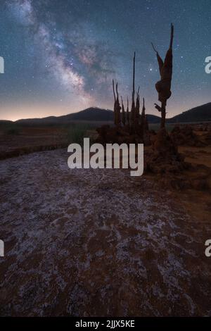 Albero asciutto sulla terra contro spettacolari paesaggi di cielo notturno con stelle incandescenti in Via Lattea Foto Stock