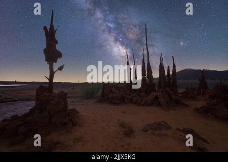 Albero asciutto sulla terra contro spettacolari paesaggi di cielo notturno con stelle incandescenti in Via Lattea Foto Stock