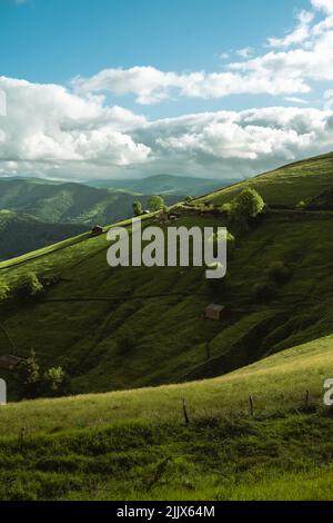 Verdi colline coperte di erba e lussureggianti alberi alti contro il cielo blu con le nuvole nella natura nella giornata estiva soleggiata Foto Stock