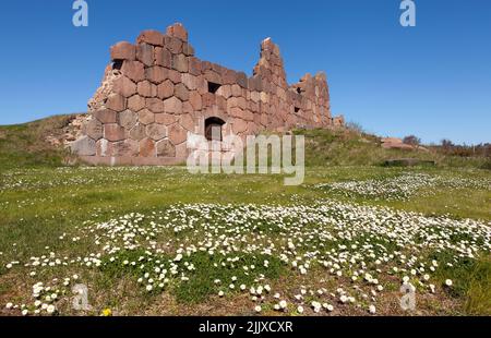 Vista di una fortezza in rovina nella Bomarsund, Aland. Un xix secolo fortezza costruita durante la Guerra di Crimea. Fiori questo lato. Foto Stock
