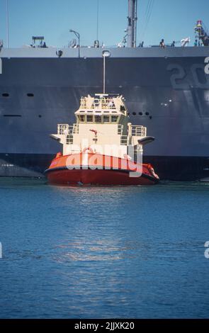 C-Tractor 6 assistere con l'attracco USNS Guadalupe sul porto di San Diego Foto Stock