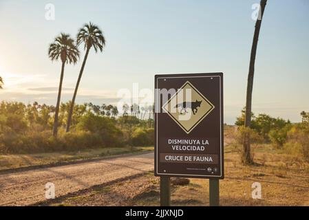 31 dicembre 2021, Parco Nazionale El Palmar, Entre Rios, Argentina: Strada sterrata e segnaletica con il simbolo di una volpe e il testo Rallenta. Attraversamento della fauna selvatica Foto Stock