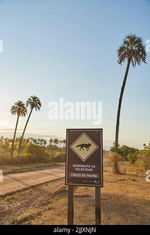 31 dicembre 2021, Parco Nazionale El Palmar, Entre Rios, Argentina: Strada sterrata e segnaletica con il simbolo di una volpe e il testo Rallenta. Attraversamento della fauna selvatica Foto Stock