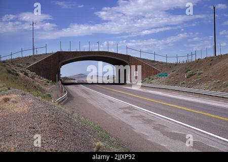 La fauna selvatica attraversa il cavalcavia sull'autostrada 93 in Nevada all'H D Summit Foto Stock