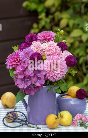 bouquet di dahlias rosa e viola, fiori di ortangea e rose in vaso Foto Stock