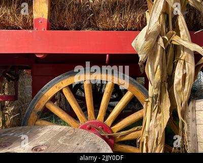 carretto di legno con fieno