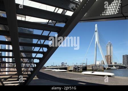 Erasmusbrug o Erasmus Bridge (1996), Rotterdam, Paesi Bassi. Foto Stock