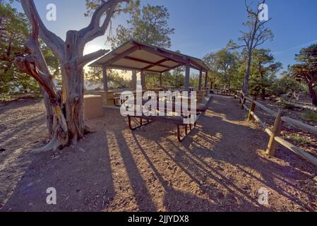 L'area picnic di Shoshone Point al Grand Canyon Arizona. Parco pubblico, non è richiesta alcuna liberazione. Foto Stock