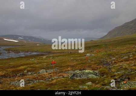 Un percorso escursionistico che si avvicina alla stazione di Sylarna Mountain all'inizio di luglio, Jamtland, Svezia Foto Stock