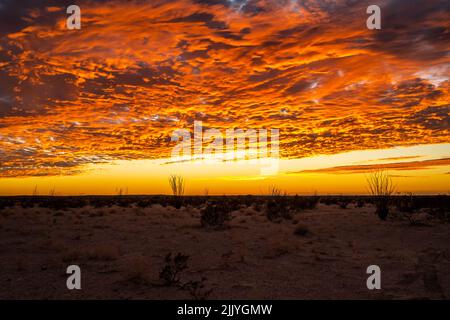 Drammatico tramonto vibrante paesaggio Yuma, Arizona Foto Stock