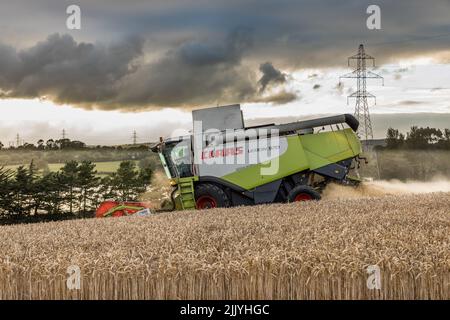 Ballinacurra, Cork, Irlanda. 28th luglio 2022. Azienda agricola Michael Holland vendemmiando il grano invernale in tarda serata sulla fattoria di Alan Navratil a Ballinacurra, Co. Cork, Irlanda. - Credit; David Creedon / Alamy Live News Foto Stock