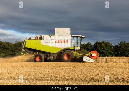 Ballinacurra, Cork, Irlanda. 28th luglio 2022. Azienda agricola Michael Holland vendemmiando il grano invernale in tarda serata sulla fattoria di Alan Navratil a Ballinacurra, Co. Cork, Irlanda. - Credit; David Creedon / Alamy Live News Foto Stock