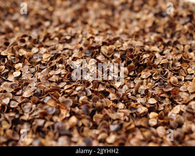 Primo piano foto di bucce di grano saraceno organico utilizzato come ripieno per cuscino di grano saraceno Foto Stock