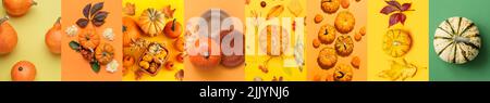 Collage di belle composizioni autunnali con zucche su sfondo colorato, vista dall'alto Foto Stock