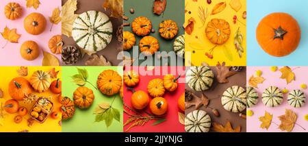 Collezione di belle composizioni autunnali con zucche su sfondo colorato, vista dall'alto Foto Stock