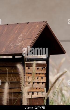 Casa di riposo per le api, alveare per le api Foto Stock