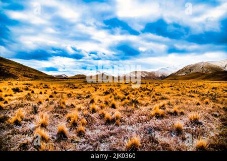 Gelo coperto tussock in alta valle di campagna sotto le vette innevate montagna vicino al Lago Tekapo Foto Stock
