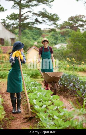 Allegro vietnamita giovane coppia che lavora nel loro giardino insieme Foto Stock