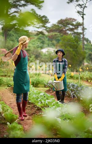 Giovane coppia vietnamita che lavora in giardino insieme Foto Stock