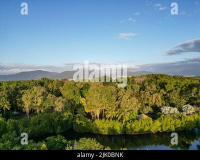 Vista aerea del giardino botanico di Cairns e delle montagne al tramonto Foto Stock