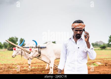 Agricoltore di fronte al bestiame che parla al telefono cellulare in campagna mentre lavora - concetto di tecnologia, prendendo pausa e rurale India. Foto Stock