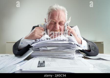 Ritratto di impazzito imprenditore senior poggiando il mento su un mucchio di documenti, urlando e crumpling liste di carta mentre alleviando lo stress, ufficio interno su sfondo Foto Stock