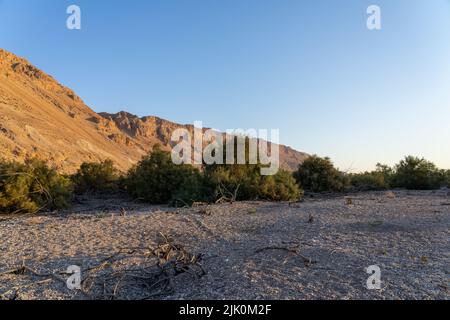 Ein Feshkha (Einot Tzukim) è una riserva naturale e sito archeologico sulla riva nord-occidentale del Mar Morto, a circa tre chilometri a sud di Qumr Foto Stock