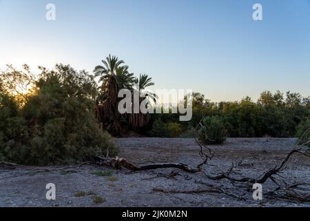 Ein Feshkha (Einot Tzukim) è una riserva naturale e sito archeologico sulla riva nord-occidentale del Mar Morto, a circa tre chilometri a sud di Qumr Foto Stock