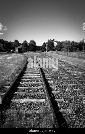 Vista in bianco e nero dei binari ferroviari in disuso in un'area rurale sotto un cielo limpido. Auvergne, Rodano Alpes. Francia Foto Stock