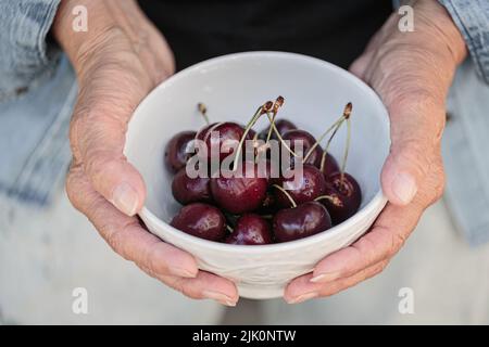 Mani di una donna anziana che tiene una ciotola di ciliegie mature Foto Stock