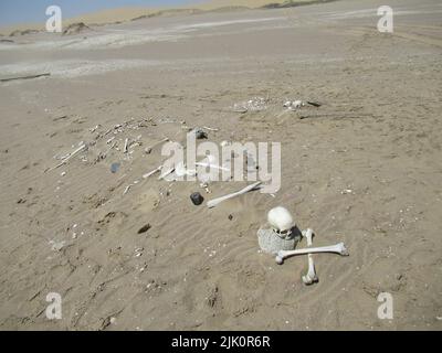 La 'costa dello scheletro', dove il deserto del Namib incontra l'Oceano Atlantico nell'Africa sud-occidentale, prende il nome dalle ossa sbiancate e dai naufragi. Foto Stock