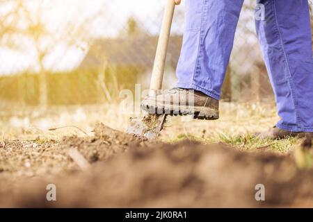 Mano di anziano attivo che tira fuori l'erbaccia del suo giardino botanico enorme, chiarendo, facendo correttamente, lavoro duro, concetto di giardinaggio Foto Stock