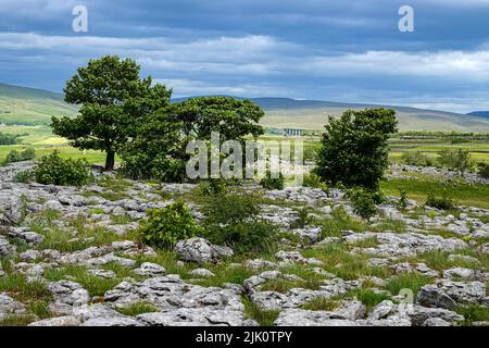 Viadotto Ribblehead dal pavimento calcareo, Southerscale Fell, Ingleborough, Ingleton, North Yorkshire, Inghilterra Foto Stock