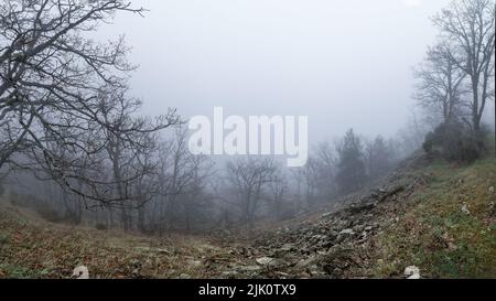 Paesaggio panoramico di montagna in un giorno con nebbia intensa e bassa visibilità. Morcuera. Foto Stock