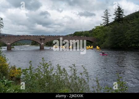 La folla guarda la gara di anatra Ballater, Ballater, Aberdeenshire, Scozia, Regno Unito. Foto Stock