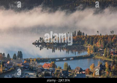Nebbia al mattino presto, Schluchsee, Foresta Nera, Baden-Wurttemberg, Germania, Europa Foto Stock