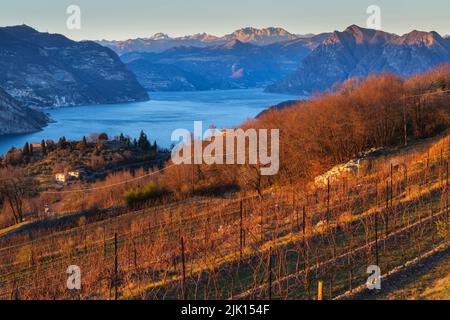 Autunno in Franciacorta e Lago d'Iseo al tramonto, provincia di Brescia, Lombardia, Italia, Europa Foto Stock