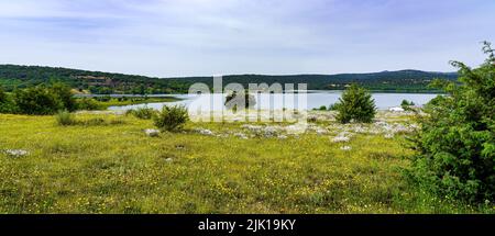 panoramica di campo verde con fiori selvatici e lago azzurro. Spagna Madrid. Foto Stock
