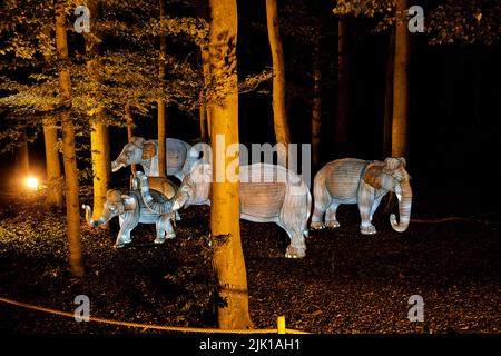 Osabrueck, Germania - 09 19 2020: Scultura illuminata allo zoo luci Osnabrueck mostrando elefante asiatico, Elephas maximus Foto Stock