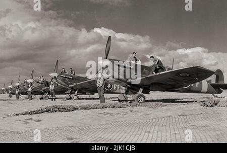 I piloti e gli equipaggi di terra del No. 132 Squadron, RAF posano per il fotografo con il loro Supermarine Spitfire Mark VBS, schierato a Newchurch, Kent. Lo Spitfire era un aereo da combattimento britannico a posto singolo utilizzato dalla Royal Air Force e da altri paesi alleati prima, durante e dopo la seconda guerra mondiale Molte varianti di Spitfire sono state costruite utilizzando diverse configurazioni di ala. Era l'unico combattente britannico prodotto continuamente durante la guerra. Foto Stock